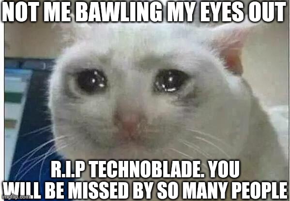 I'm so fking sad right now... | NOT ME BAWLING MY EYES OUT; R.I.P TECHNOBLADE. YOU WILL BE MISSED BY SO MANY PEOPLE | image tagged in crying cat,technoblade,rip,crying | made w/ Imgflip meme maker