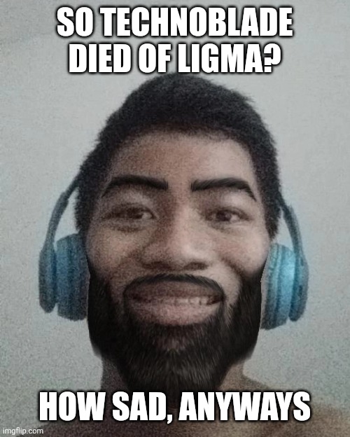if you say "thats disrespectful" yes it is, i was borned with disrespect. | SO TECHNOBLADE DIED OF LIGMA? HOW SAD, ANYWAYS | made w/ Imgflip meme maker