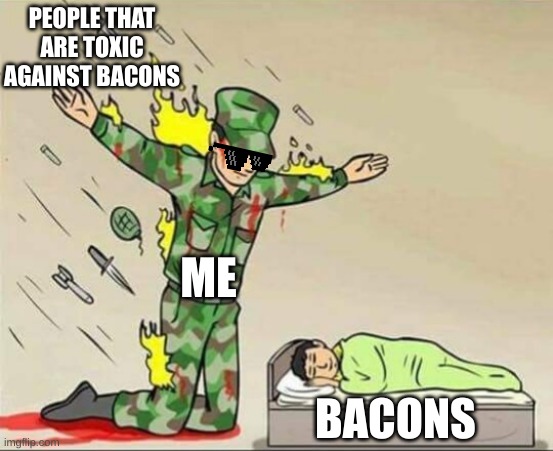 #antihate #bacon #roblox | PEOPLE THAT ARE TOXIC AGAINST BACONS; ME; BACONS | image tagged in soldier protecting sleeping child | made w/ Imgflip meme maker