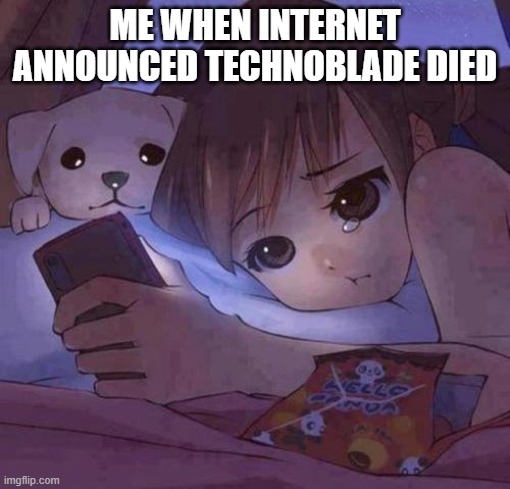 Sad and Lonely Sad and Lonely | ME WHEN INTERNET ANNOUNCED TECHNOBLADE DIED | image tagged in sad anime | made w/ Imgflip meme maker