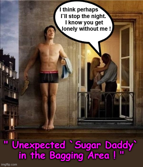 Sugar Daddy | " Unexpected `Sugar Daddy`
in the Bagging Area ! " | image tagged in boardroom meeting unexpected ending | made w/ Imgflip meme maker