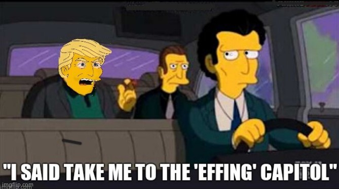 Don the Don | image tagged in memes,donald trump,crying democrats,congress,lies,political meme | made w/ Imgflip meme maker