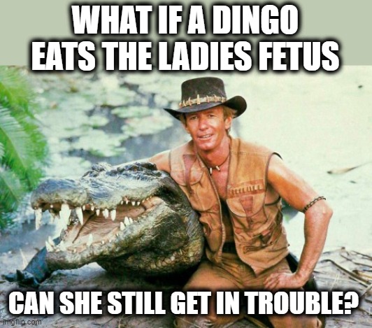 Australians need to know | WHAT IF A DINGO EATS THE LADIES FETUS; CAN SHE STILL GET IN TROUBLE? | image tagged in crocodile dundee paul hogan,memes,right to choose,politics,gop hypocrite | made w/ Imgflip meme maker