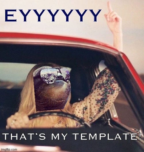 Kylie that's my template | image tagged in kylie that's my template | made w/ Imgflip meme maker