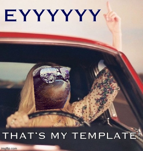 High Quality Sloth eyyyyyyy that’s my template Blank Meme Template