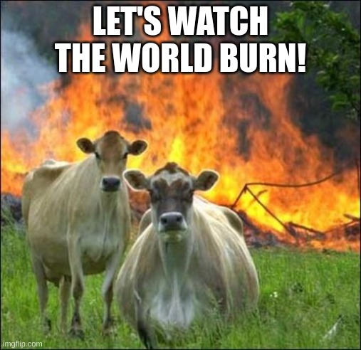 Evil Cows Meme | LET'S WATCH THE WORLD BURN! | image tagged in memes,evil cows | made w/ Imgflip meme maker