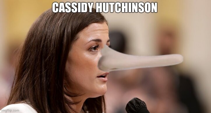 Democrat BS Factory presents "Cassidy Hutchinson" | image tagged in memes,democrats,witnesses,lies,corruption,political meme | made w/ Imgflip meme maker