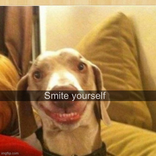 big smile doggie | Smite yourself | image tagged in big smile doggie | made w/ Imgflip meme maker