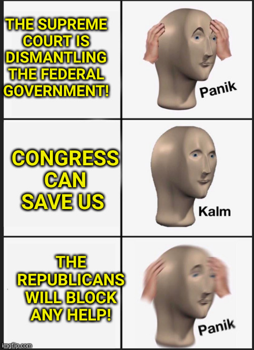 Every attempt to help average Americans is blocked by Republicans to aid in destroying America. Maga will blame libs | THE SUPREME COURT IS DISMANTLING THE FEDERAL GOVERNMENT! CONGRESS CAN SAVE US; THE REPUBLICANS WILL BLOCK ANY HELP! | image tagged in memes,panik kalm panik | made w/ Imgflip meme maker