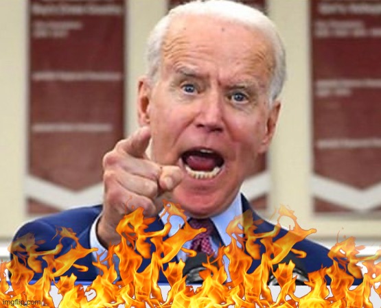 Joe Biden no malarkey | image tagged in joe biden no malarkey | made w/ Imgflip meme maker