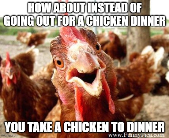 Be a better person | HOW ABOUT INSTEAD OF GOING OUT FOR A CHICKEN DINNER; YOU TAKE A CHICKEN TO DINNER | image tagged in be a better person,take a chicken to dinner,chickens have feelings,chicken rights,diversity,friends | made w/ Imgflip meme maker