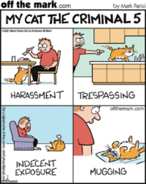 image tagged in memes,comics,cats,criminal,action,too many | made w/ Imgflip meme maker