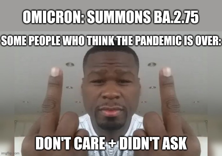 ? | OMICRON: SUMMONS BA.2.75; SOME PEOPLE WHO THINK THE PANDEMIC IS OVER:; DON'T CARE + DIDN'T ASK | image tagged in don't care didn't ask,omicron,covid-19,coronavirus,wat,memes | made w/ Imgflip meme maker