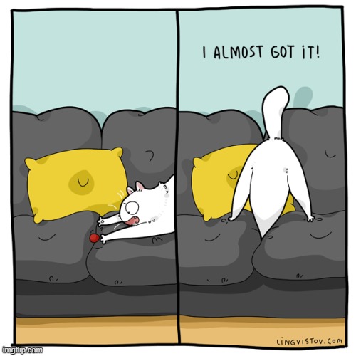A Cat's Way Of Thinking | image tagged in memes,comics,cats,red dot,get it,not sure if | made w/ Imgflip meme maker