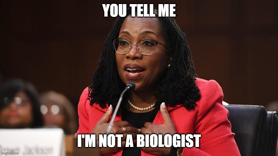 Ketanji Brown Jackson | YOU TELL ME I'M NOT A BIOLOGIST | image tagged in ketanji brown jackson | made w/ Imgflip meme maker