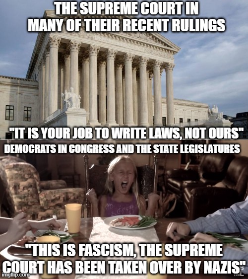 Your Job |  THE SUPREME COURT IN MANY OF THEIR RECENT RULINGS; "IT IS YOUR JOB TO WRITE LAWS, NOT OURS"; DEMOCRATS IN CONGRESS AND THE STATE LEGISLATURES; "THIS IS FASCISM, THE SUPREME COURT HAS BEEN TAKEN OVER BY NAZIS" | image tagged in supreme court,child tantrum dinner table,democrats,congress,united states | made w/ Imgflip meme maker