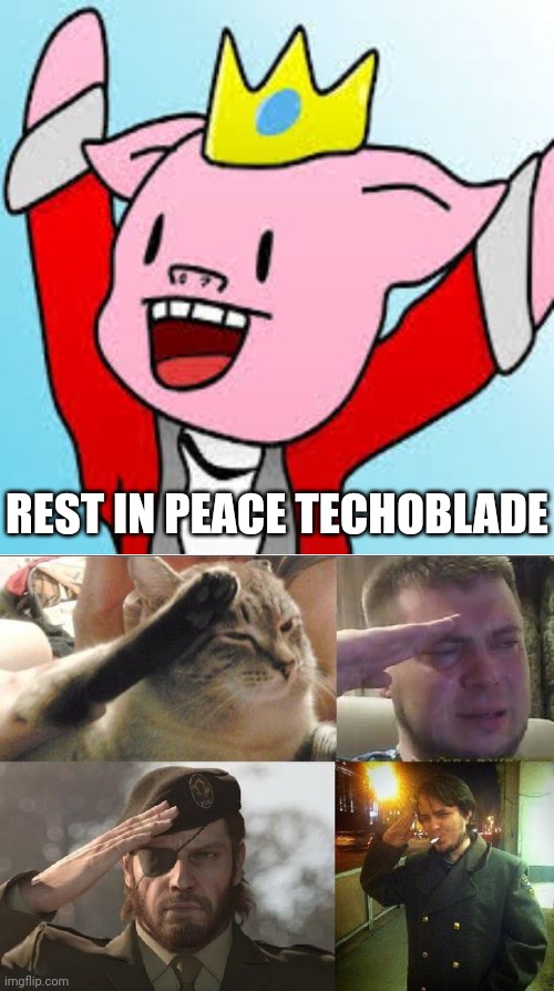 Technoblade will live in our hearts T-T |  REST IN PEACE TECHOBLADE | image tagged in ozon's salute,minecraft,youtuber,rest in peace,rip,sad | made w/ Imgflip meme maker