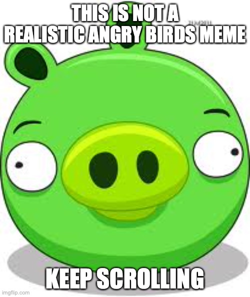 why are you here | THIS IS NOT A REALISTIC ANGRY BIRDS MEME; KEEP SCROLLING | image tagged in memes,angry birds pig | made w/ Imgflip meme maker