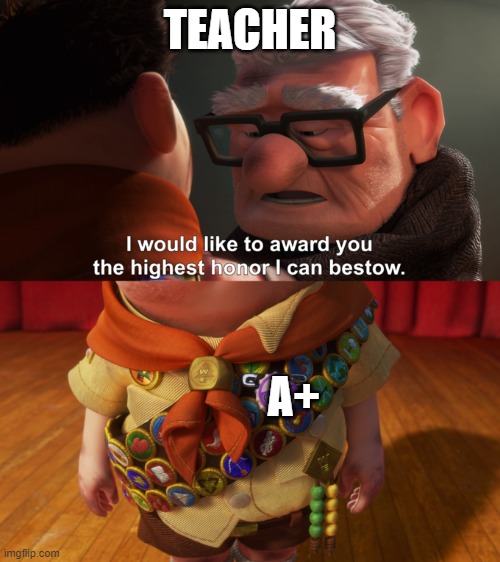 Highest Honor | TEACHER; A+ | image tagged in highest honor | made w/ Imgflip meme maker