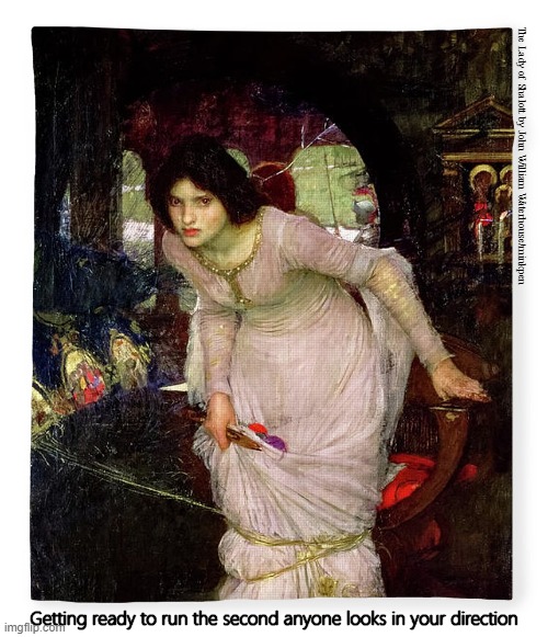 Run! | The Lady of Shalott by John William Waterhouse/minkpen; Getting ready to run the second anyone looks in your direction | image tagged in art memes,lady of shalott,social anxiety,shy,nervous,pre-raphaelites | made w/ Imgflip meme maker