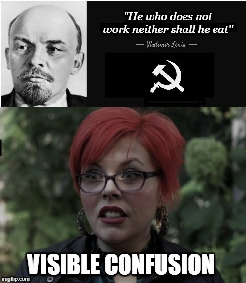 The homeless in the former USSR were scooped up and charged with vagrancy....sent to gulags along with political prisoners | made w/ Imgflip meme maker