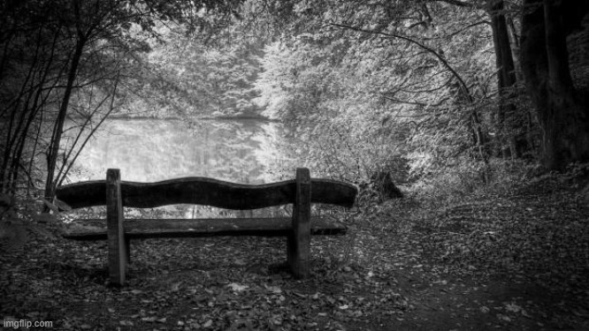 Black and white Bench | image tagged in black and white bench | made w/ Imgflip meme maker