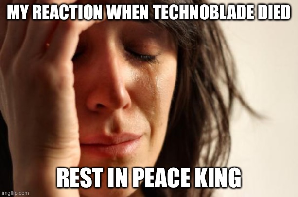 I want to ask god a question: WHYYYYYY | MY REACTION WHEN TECHNOBLADE DIED; REST IN PEACE KING | image tagged in memes,first world problems | made w/ Imgflip meme maker