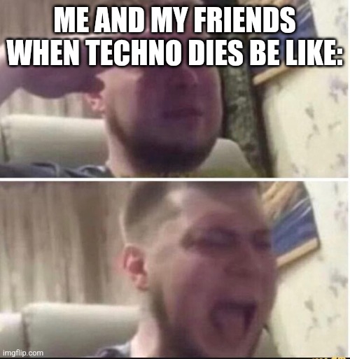 Crying salute | ME AND MY FRIENDS WHEN TECHNO DIES BE LIKE: | image tagged in crying salute | made w/ Imgflip meme maker