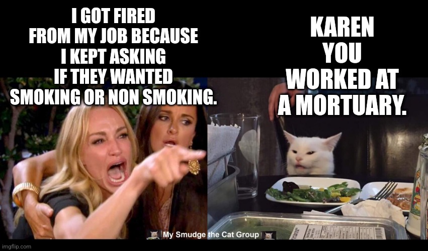 I GOT FIRED FROM MY JOB BECAUSE I KEPT ASKING IF THEY WANTED SMOKING OR NON SMOKING. KAREN YOU WORKED AT A MORTUARY. | image tagged in smudge the cat | made w/ Imgflip meme maker