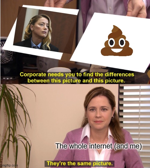Amber Heard bad, Johnny good. | The whole internet (and me) | image tagged in memes,they're the same picture | made w/ Imgflip meme maker