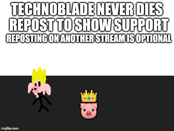 support him | image tagged in technoblade,support | made w/ Imgflip meme maker