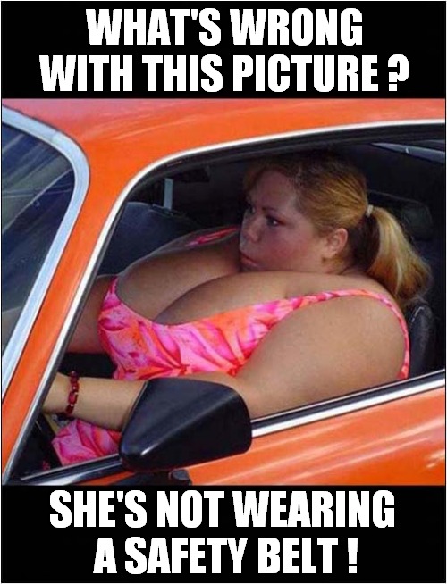 Grow Your Own Airbags ! | WHAT'S WRONG WITH THIS PICTURE ? SHE'S NOT WEARING 
A SAFETY BELT ! | image tagged in seat belt,safety bell,airbags,dark humour | made w/ Imgflip meme maker