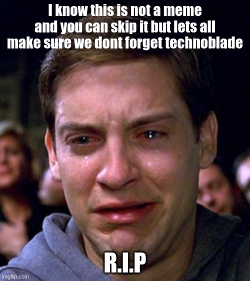 rip | I know this is not a meme and you can skip it but lets all make sure we dont forget technoblade; R.I.P | image tagged in crying peter parker | made w/ Imgflip meme maker