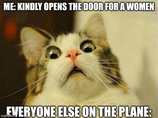 You'd think she'd be polite but nooo she just screamed! | ME: KINDLY OPENS THE DOOR FOR A WOMEN; EVERYONE ELSE ON THE PLANE: | image tagged in memes,scared cat,dark humor,airplane | made w/ Imgflip meme maker