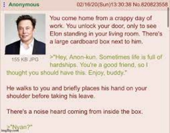 Elon Catgirl | image tagged in elon catgirl | made w/ Imgflip meme maker