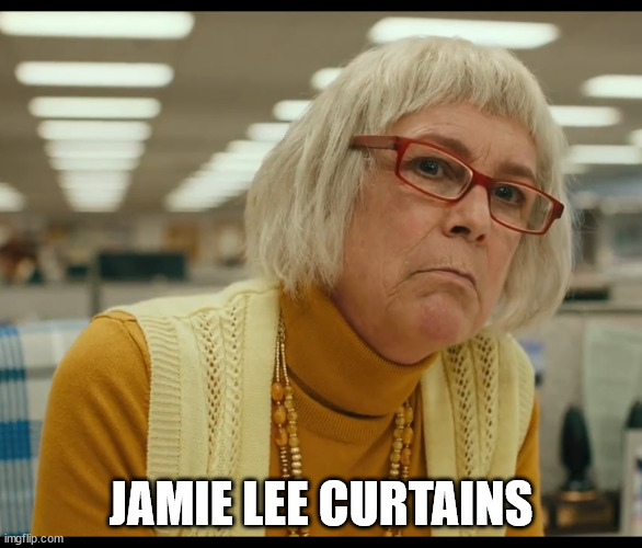 Auditor Bitch | JAMIE LEE CURTAINS | image tagged in auditor bitch | made w/ Imgflip meme maker