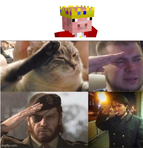 We’ve lost a legend. Forever in the hearts of a reasonable person. This isn’t a meme, just a salute | image tagged in the group salute,technoblade,rip | made w/ Imgflip meme maker