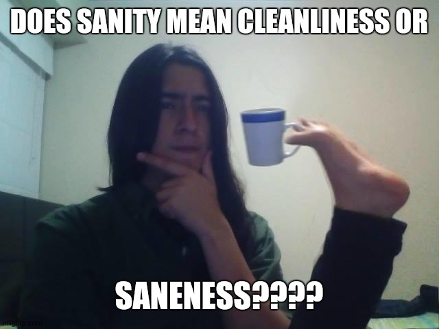 what do you think? | DOES SANITY MEAN CLEANLINESS OR; SANENESS???? | image tagged in hmmmm,memes | made w/ Imgflip meme maker