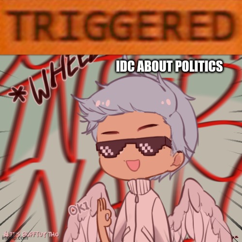 who cares politics | IDC ABOUT POLITICS | image tagged in cringe worthy | made w/ Imgflip meme maker