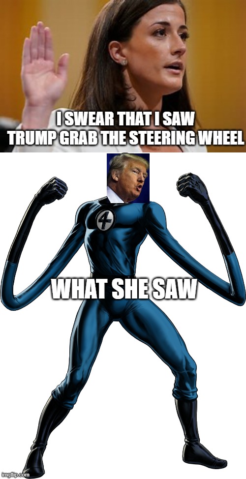 I SWEAR THAT I SAW TRUMP GRAB THE STEERING WHEEL; WHAT SHE SAW | made w/ Imgflip meme maker