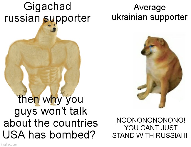 This  isn't supposed to be funny |  Gigachad russian supporter; Average ukrainian supporter; then why you guys won't talk about the countries USA has bombed? NOONONONONONO! YOU CANT JUST STAND WITH RUSSIA!!!! | image tagged in memes,buff doge vs cheems | made w/ Imgflip meme maker