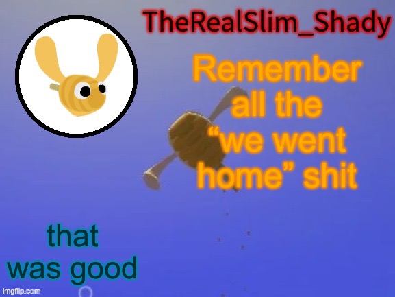 Shady’s hunnabee temp (thanks carlos) | Remember all the “we went home” shit; that was good | image tagged in shady s hunnabee temp thanks carlos | made w/ Imgflip meme maker
