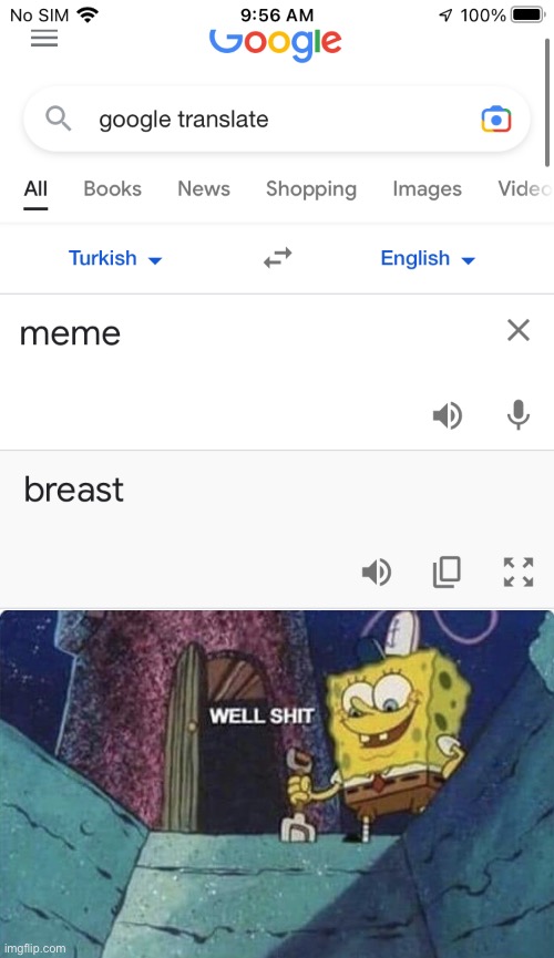 Hollywithasideofbreasts | image tagged in well shit spongebob edition | made w/ Imgflip meme maker