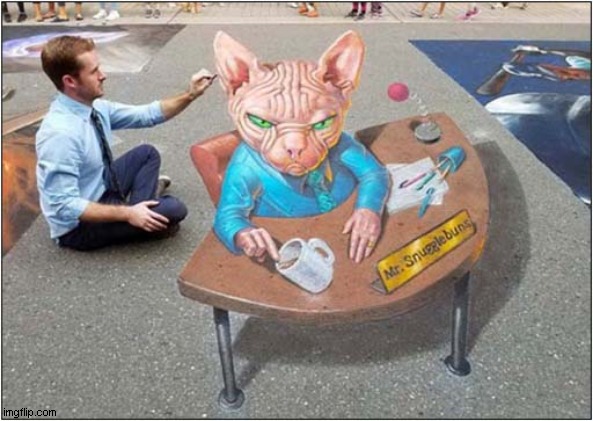 Mr Snugglebuns Will See You Now | image tagged in cats,pavement art,3d art | made w/ Imgflip meme maker