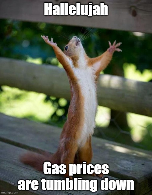 The gas price nightmare (at least in my neck of the woods) is almost over for now | Hallelujah; Gas prices are tumbling down | image tagged in happy squirrel,gas prices | made w/ Imgflip meme maker