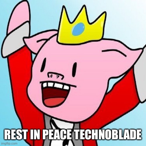 We will miss you |  REST IN PEACE TECHNOBLADE | image tagged in rest in peace,technoblade | made w/ Imgflip meme maker