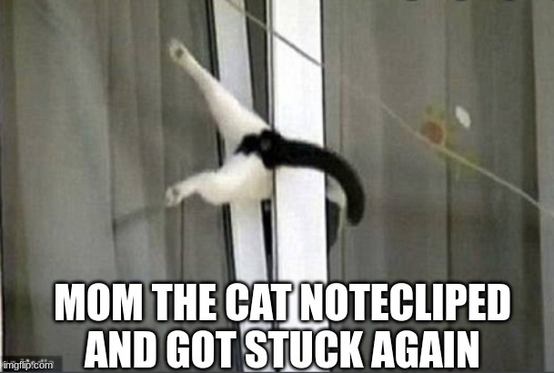 cat in window | MOM THE CAT NOTECLIPED AND GOT STUCK AGAIN | image tagged in cat in window | made w/ Imgflip meme maker