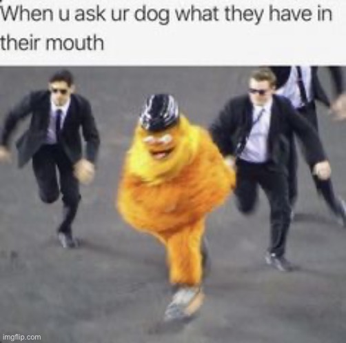 woof | image tagged in ha ha tags go brr | made w/ Imgflip meme maker