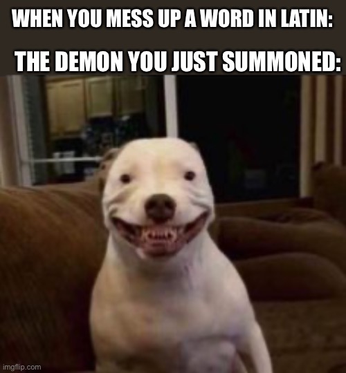 demon |  THE DEMON YOU JUST SUMMONED:; WHEN YOU MESS UP A WORD IN LATIN: | image tagged in ha ha tags go brr,oh wow are you actually reading these tags | made w/ Imgflip meme maker