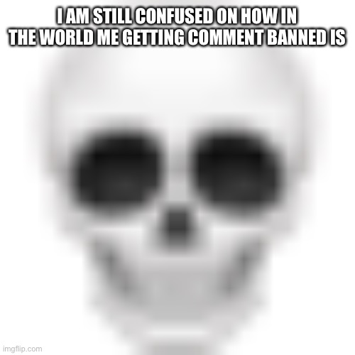 :skull: | I AM STILL CONFUSED ON HOW IN THE WORLD ME GETTING COMMENT BANNED IS | image tagged in skull | made w/ Imgflip meme maker